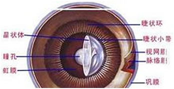 ��Ĥ���_�����C�����ɻ�