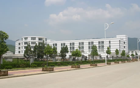 �������Y