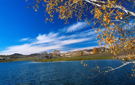 �������Y