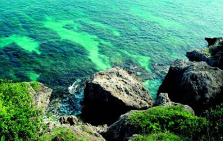 �������Y