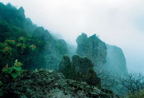 �������Y