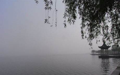 �������Y