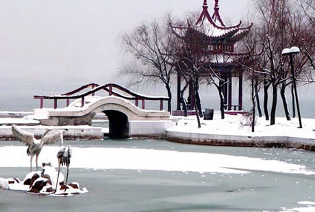 �������Y