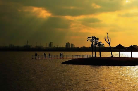 �������Y