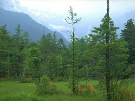 �������Y