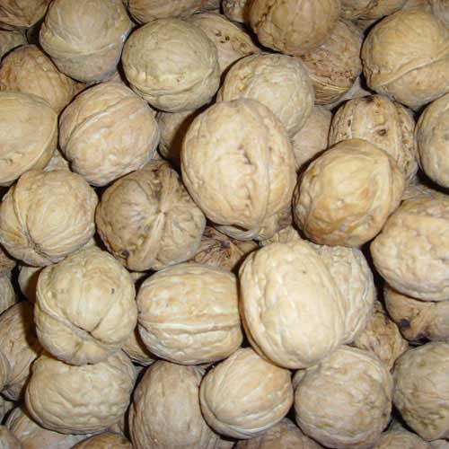 �������Y