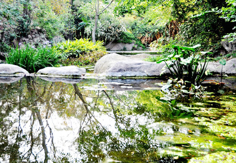 �������Y