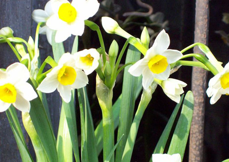 �������Y