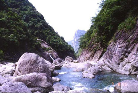 �������Y