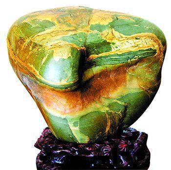 �������Y