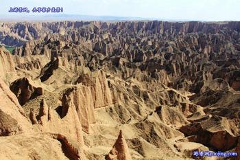 �������Y