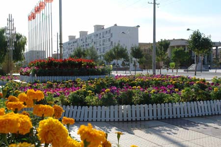 �������Y