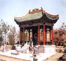 �������Y