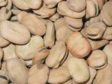 �������Y