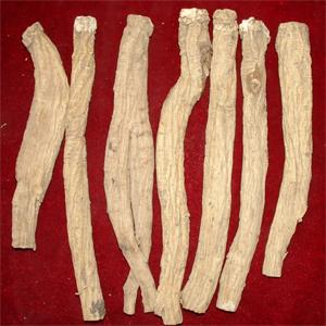 �������Y