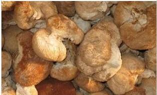 �������Y