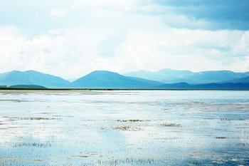 �������Y