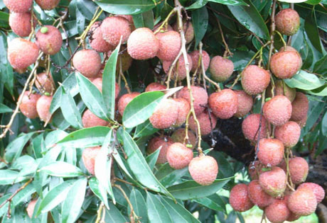 �������Y