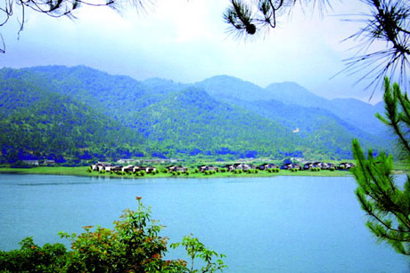 �������Y