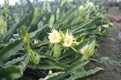 �������Y