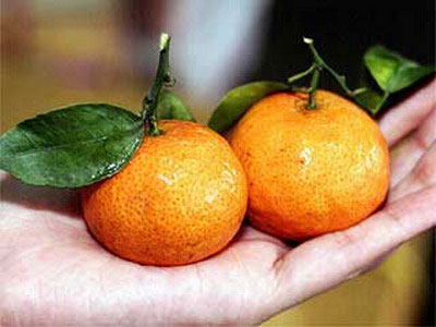 �������Y