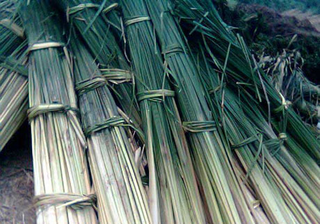 �������Y