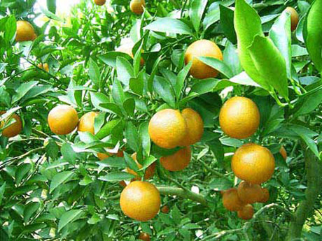 �������Y