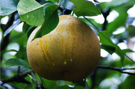 �������Y