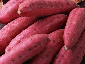 �������Y