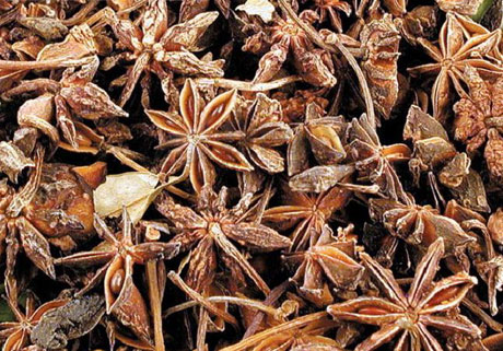 �������Y