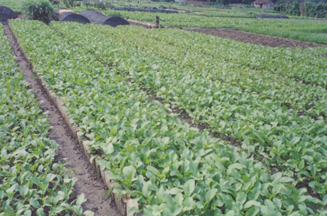 �������Y