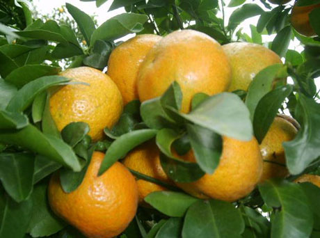 �������Y