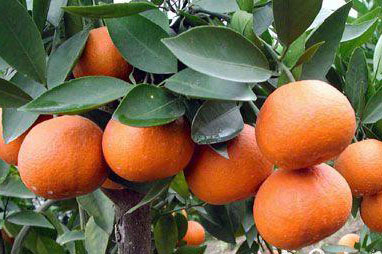 �������Y