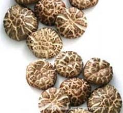 �������Y