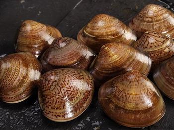 �������Y