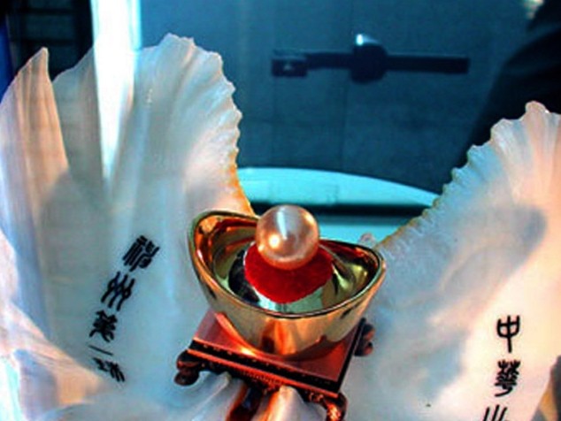 �������Y