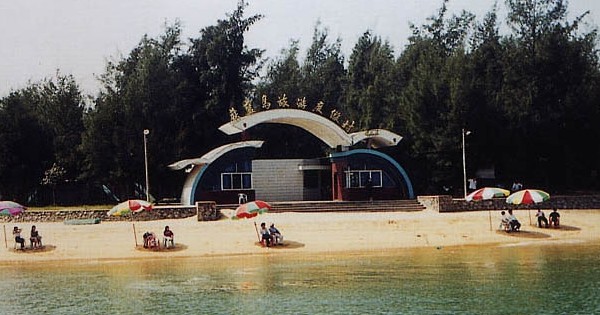 �������Y