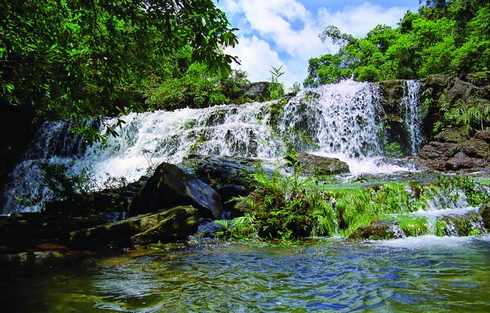 �������Y