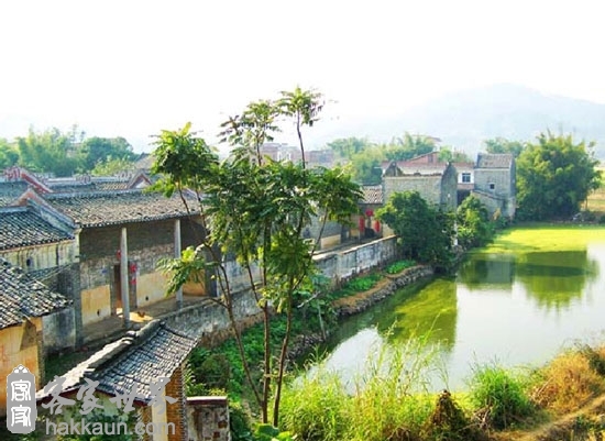 �������Y