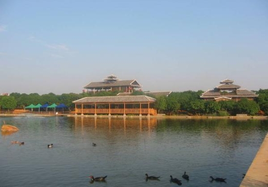 �������Y