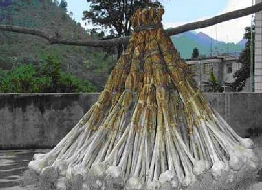 �������Y