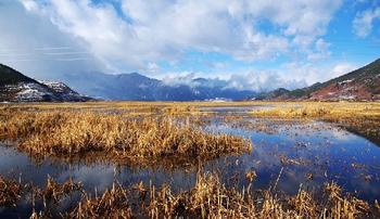 �������Y