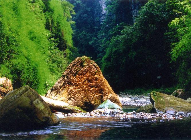 �������Y