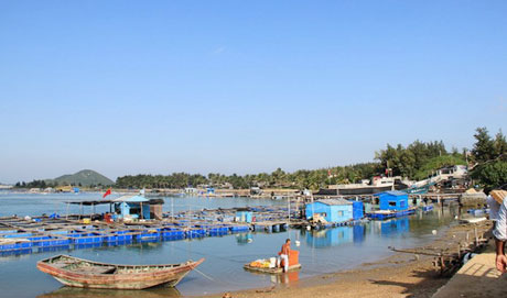 �������Y