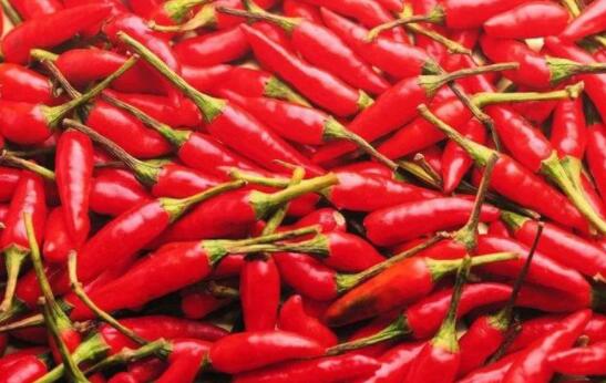 �������Y