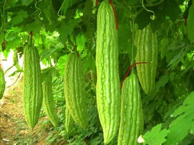 �������Y