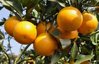 �������Y