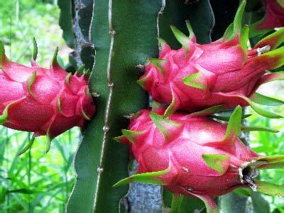 �������Y