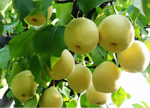 �������Y