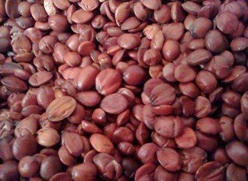 �������Y